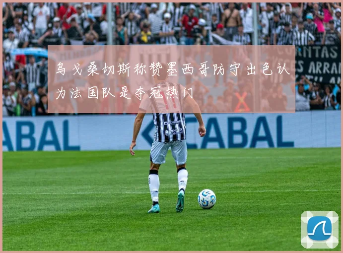 乌戈桑切斯称赞墨西哥防守出色认为法国队是夺冠热门