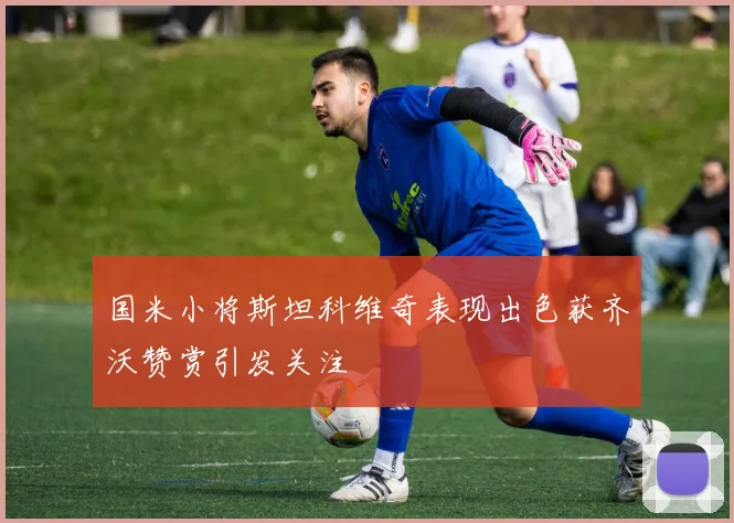 国米小将斯坦科维奇表现出色获齐沃赞赏引发关注